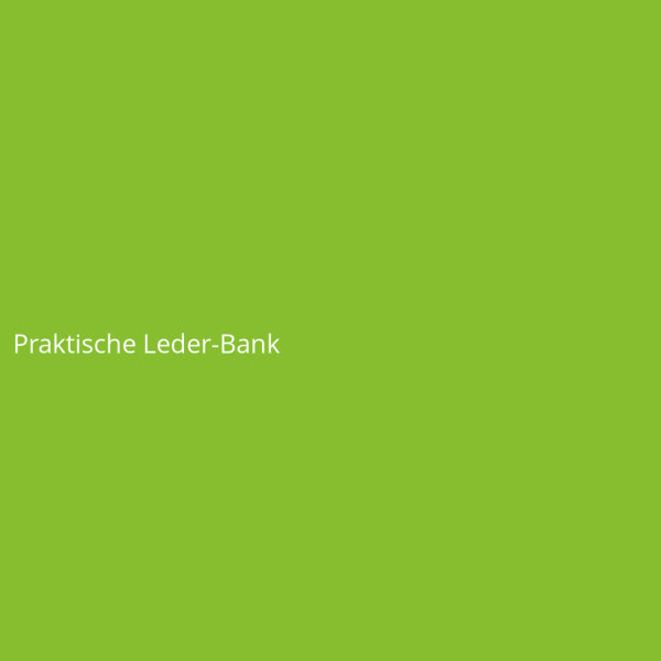 Praktische Leder-Bank