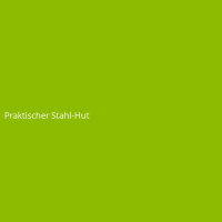 Praktischer Stahl-Hut
